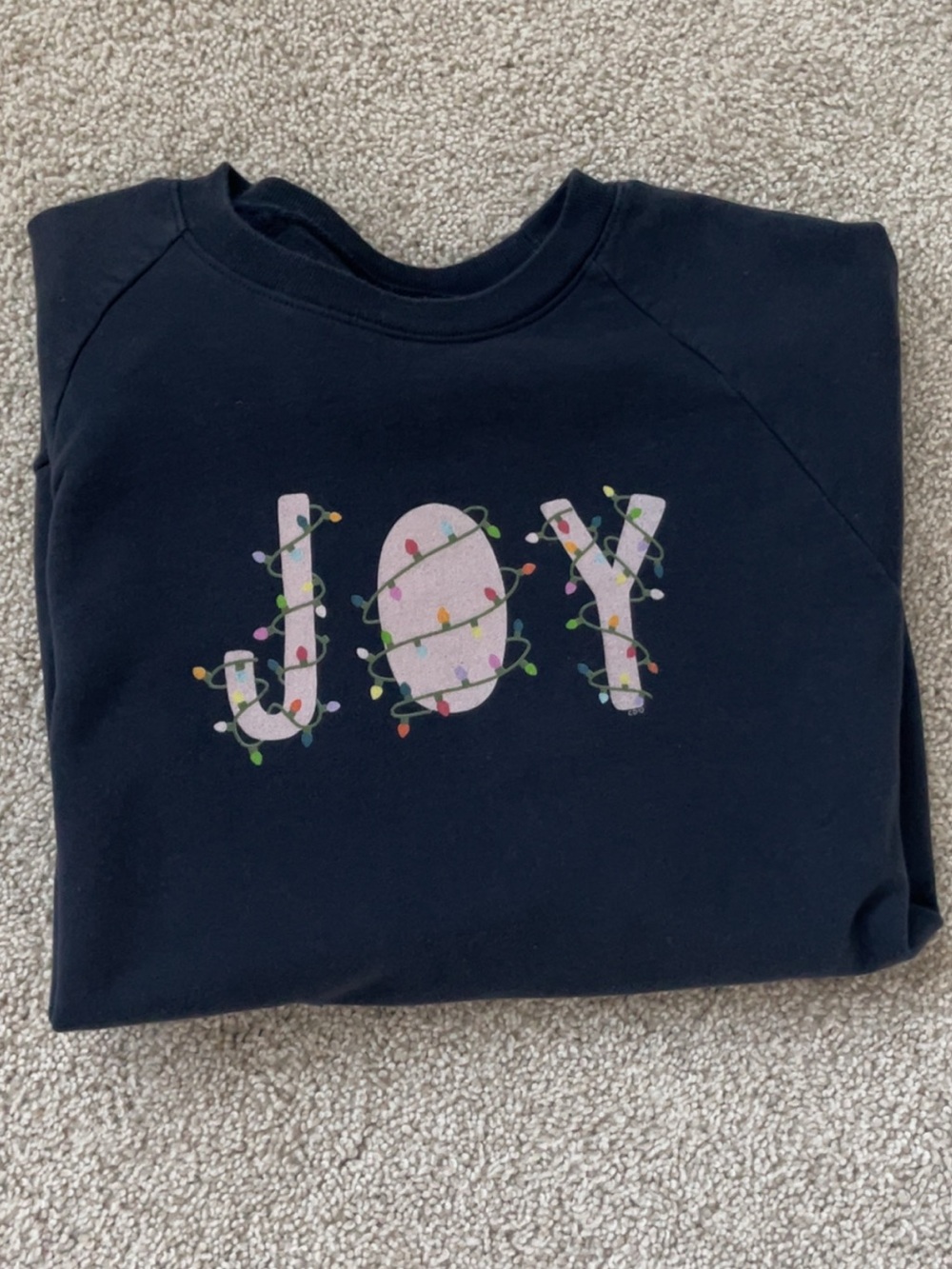 Callie Danielle “JOY” Light Bulb Sweatshirt